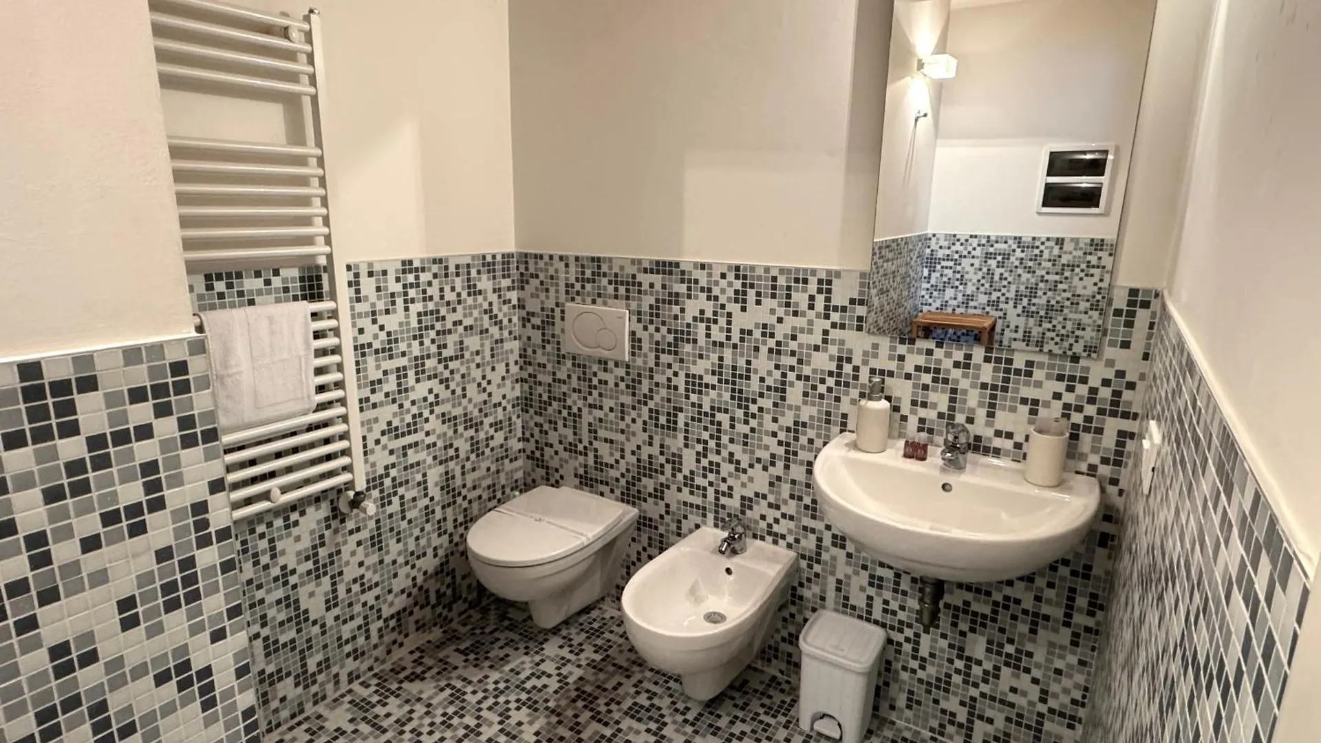 Loft Del Pozzo Venezia - With Garden Apartment 0*, Venice